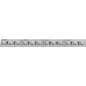 Mobile Preview: Basic LED Streifen Tunable White 12V DC 19,2W/m IP00